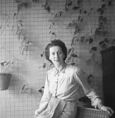 Konsum kondis. 1943