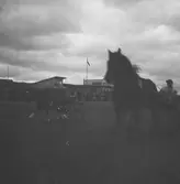 Barnens Dag i Gävle. 1943