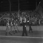 Svenska Flaggans Dag. 1943