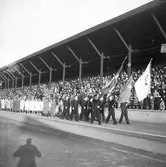 Svenska Flaggans Dag. 1943