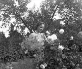 Koloniträdgården. 1943