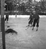 Bandymatch mellan Skutskär och Bollnäs. 1943