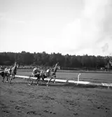 Trav 29/9 1945.

Nr.13 Kruzkönig
Nr.10 Skarplill
Nr.  4 Ali