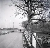 Gamla kyrkbron i Halltorps socken.