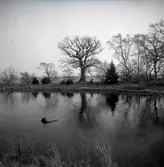 En udde söder om tegelugnen vid hamnen i Värnanäs.