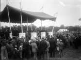Lantbruksmöte 1931. Visning av hästar medmera. Något sorts utomhusfestligheter, ett tält och en massa folk.