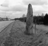 Den drygt tre meter höga Västhorjastenen, runsten nr sm 64,  vid Jönköpingsvägen i Värnamo.