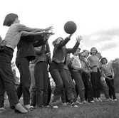 Reportage från Hästnäs.
Juni 1956.