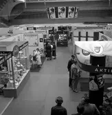 Expon 1956.
Juni 1956.