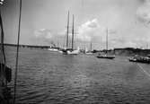 Vid Sandhamn i Stockholms skärgård under regatta 1930.