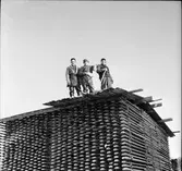 Vallsta,
Reportage från Vallsta ångsåg,
Januari 1968