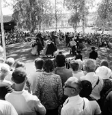 Arbrå,
Hälsingehambon,
Fornhemmet,
1971