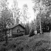 Arbrå,
Änga-Nybo,
Juni 1971
