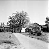 Arbrå,
Tomta gård,
Juni 1971