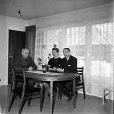 Stagården, Nygården,
Ankarcrona, Westerlund,
17 Februari 1967