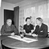 Stagården, Nygården,
Ankarcrona, Westerlund,
17 Februari 1967