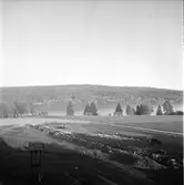 Undersviks Stiftsgård,
Konstkurs,
Konstnär Karlström,
2-3 Oktober 1965