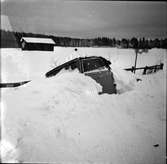 Snöbilder,
Ovädret,
1955