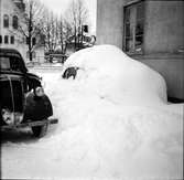 Snöbilder,
Ovädret,
1955