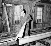 Tönnånger,
Sågen och Per Schönning,
13 Juli 1966