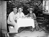 I handlare A G Borgs trädgård, Sanda, Uppland