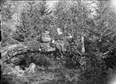 Man, Sara och Tyra sitter på en trädstam i skogen, Östhammar, Uppland