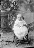 Ateljéporträtt - spädbarn, Östhammar, Uppland 1919