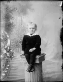 Pojken Larsson från Herräng, Härnevi socken, Uppland 1919