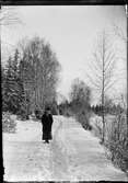 Sara Edhlund i snöigt landskap, Östhammar, Uppland