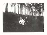 En man och en kvinna sitter i en skogsbacke med glest bestånd av tallar.