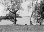 Utsikt över sjön Åsunden 1904. Vy från Hycklinge.