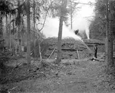 Kolmilning i Svinhult