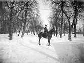 Handlare John Brobeck till häst en vinterdag 1898. Platsen är Gröngatan i Linköping. I bakgrunden skymtar Linköpings högre allmänna läroverk.