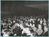 Uppträde på konserthus