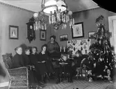 Gruppbild vid julgran