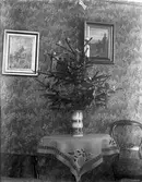 LIten julgran på bord.