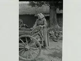 En kvinna i huckle står vid en vagn framför norra längan på Björsgård. Troligen Charlotta Nilson, Severins syster. Bakom henne syns gårdens vårdträd på stenfot, vilket var en tradition för Halland och Skåne.