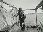 Fiskare på brygga vid upphängda fiskenät.