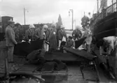 Röda korset, invalidutväxling 1915-1917. Rödakorspersonal med bårer vid hamnen.
