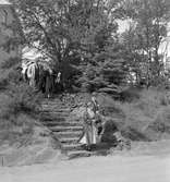 Den 27 augusti 1953. Gävle Varv. Sjösättning av båten M/S Lombardia
