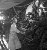 Den 25 september 1951. Durotapet.





