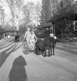 Den 15 maj 1950. Furuviksbarnen




