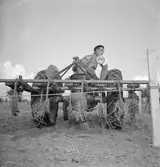 Tornbyutställningen 1950.