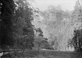 Vy över vandringsväg genom skog och berg, sannolikt i Norge