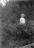 Christiane och Ruben Liljefors dotter Marit mitt i bärris i skogen, sannolikt i Sverige