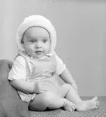 Barnet Viberg Rolf.