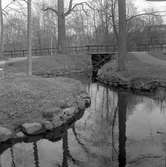 Den 18 maj 1965. Stadsträdgården