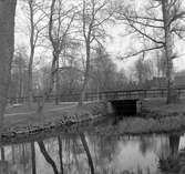 Den 18 maj 1965. Stadsträdgården.