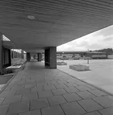 Den 19 augusti 1964. Centralskolan / Sofiedalsskolan. Södra Valbo.