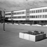 Den 19 augusti 1964. Centralskolan / Sofiedalsskolan. Södra Valbo.